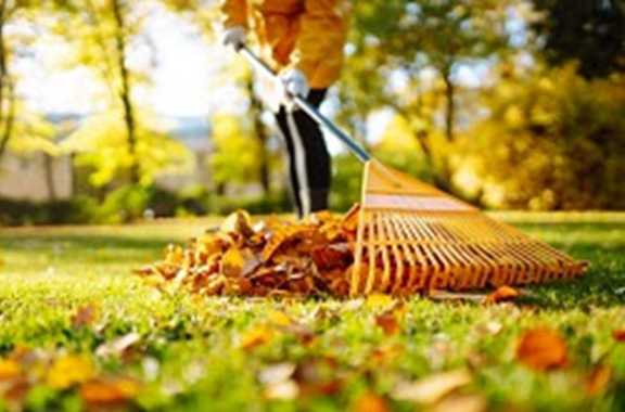 Spooktacular Home Tips